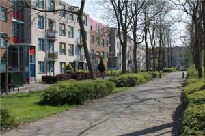 o-18222-201310410228