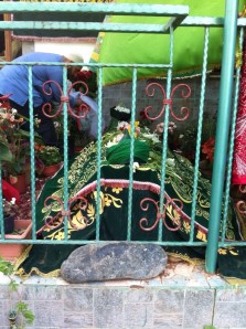 image-188a549c409efd20fa9871d4d2ba3e37b2d416ca411b0af38558f6a3a0d30e9d-V (1)