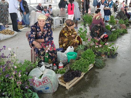 Deze afbeelding heeft een leeg alt-atribuut; de bestandsnaam is filename-p1190754-jpg.jpg